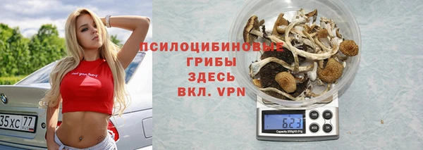 сатива Заволжск