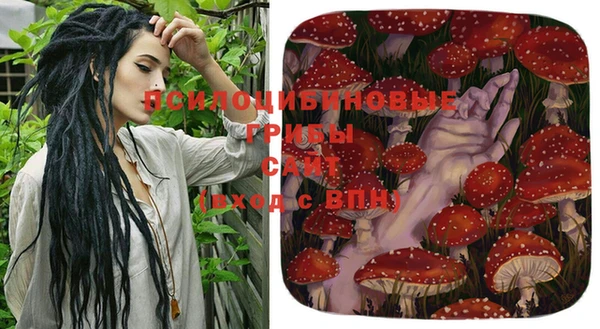 сатива Заволжск