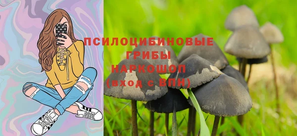 сатива Заволжск